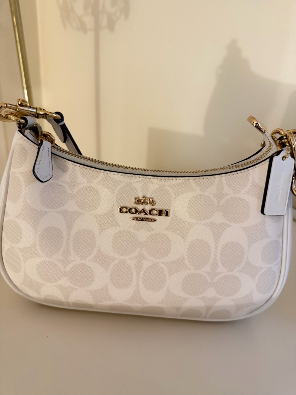 Coach Outlet Teri Shoulder Bag